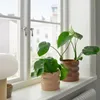 IKEA HASSELBUKETT plant pot,...