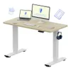 FLEXISPOT EN1 One-Piece...