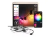 Philips Hue Festavia Globe...