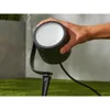 Lily XL Outdoor Black Spot...