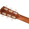 Fender Paramount PD-220E...