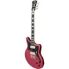 D'Angelico Premier Series...
