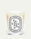 Eucalyptus Classic Candle,...
