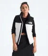 The North Face Women’s 1996...