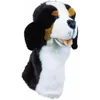 Daphne's Bernese Mtn Dog...