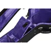 Epiphone Inspired by Gibson...