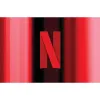 Netflix Gift Card $25 (Email...