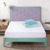 Wayfair Sleep 8" Medium...