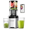 AMZCHEF Cold Press Juicer,...