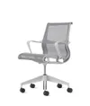Herman Miller Setu...