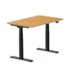 FlexiSpot - E7 48''W Electric...