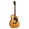 Cort GOLDA6 Gold A6 Acoustic...