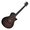 Taylor T5z Classic Rosewood
