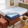 ViscoSoft 4 Inch Pillow Top...