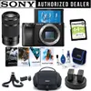 Sony Alpha a6100 APS-C...
