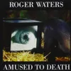 Amused to Death by Roger...