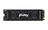 Kingston FURY Renegade 500...