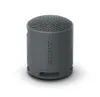 Sony SRS-XB100 Wireless...