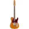 Squier Paranormal Troy Van...
