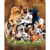 Dogpile Mink Blanket