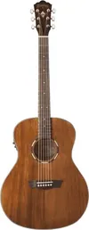 Washburn Woodline O12SE...