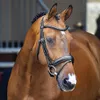 Shires Lusso Dressage Flash...