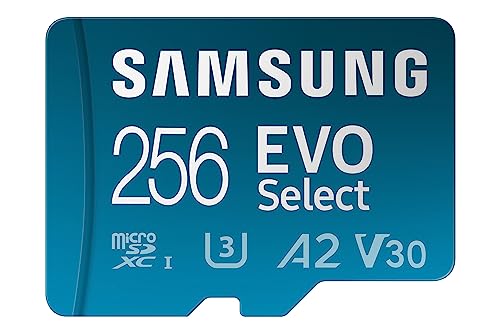 Samsung EVO Select 256GB...