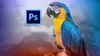 Adobe Photoshop CS6: Los...