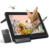 XPPen Artist Pro 16 Graphics...