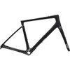 ENVE Fray Frameset Clear...