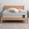 Leesa Plus Hybrid Mattress