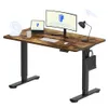 FLEXISPOT EN1 48"x24"...