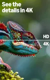 Amazon Ember 43" 4-Series...