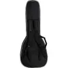 Epiphone SG Standard Electric...