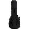 Epiphone Les Paul Standard...