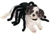 Rubie's Spider Pet Harness...