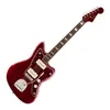 Fender - Troy Van Leeuwen...