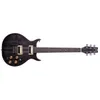 Washburn H10TB Hawk 6-String...