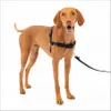 PetSafe Easy Walk Dog...