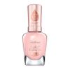 Sally Hansen Color Therapy...