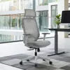 Ergonomic Office Chair