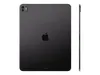 Apple 13-inch iPad Pro M5...