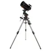 Celestron Advanced VX 8"...