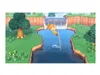 Animal Crossing New Horizons...