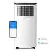 9000 BTU 4-in-1 Portable Air...