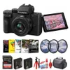 Panasonic - Lumix G100 4K...