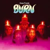 Burn [VINYL]