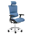 X-Tech Executive