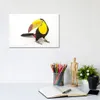 A Keel-Billed Toucan At Tracy...