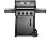 Napoleon Propane Gas Grill